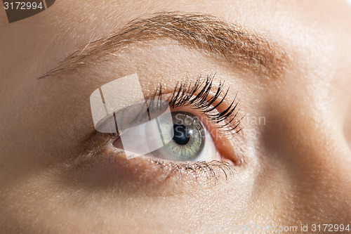 Image of Close up Woman Eye Looking Up