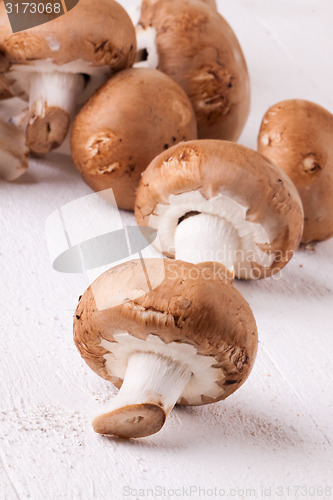 Image of Fresh brown portobello or agaricus mushrooms