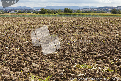 Image of Harvested potato field with rotovated earth