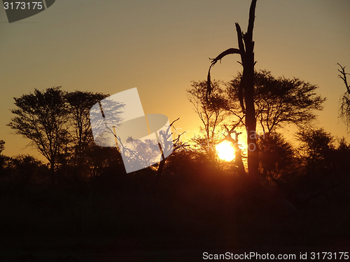 Image of african sundown scenery