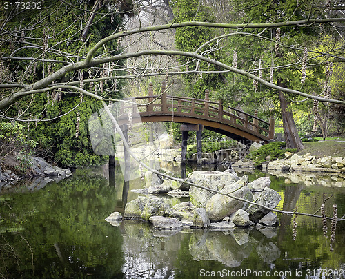 Image of Bridge in the park