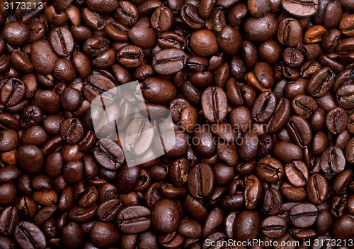 Image of Coffee beans background