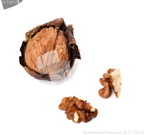 Image of Walnuts on white background