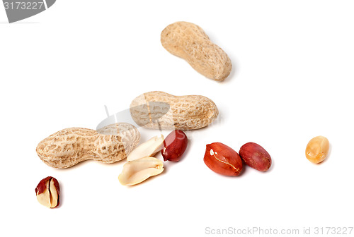 Image of Peanuts 