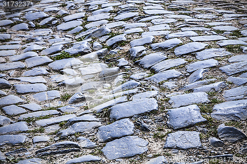 Image of Cobblestone Road- Detail