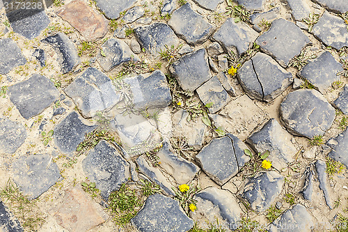 Image of Cobblestone Road- Detail