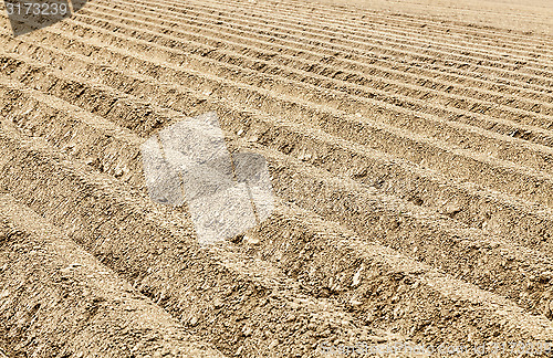 Image of Furrows Abstract