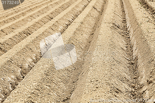 Image of Furrows Abstract