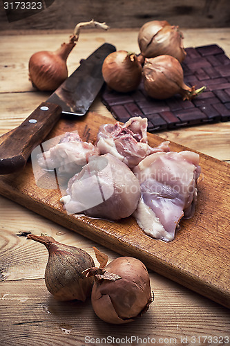 Image of raw fillet of chicken meat