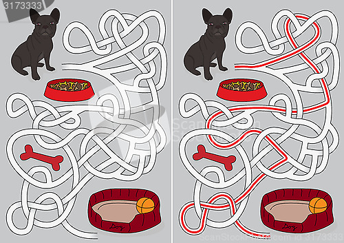 Image of Dog maze