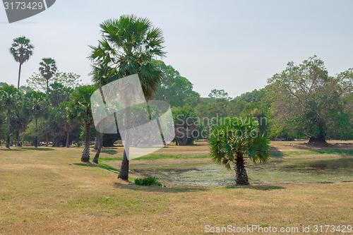 Image of Angkor Archaeological Park