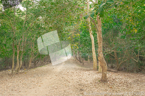 Image of Angkor Archaeological Park