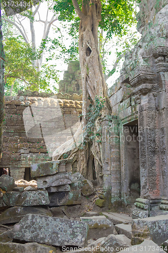 Image of Angkor Archaeological Park