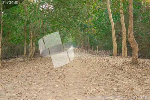 Image of Angkor Archaeological Park