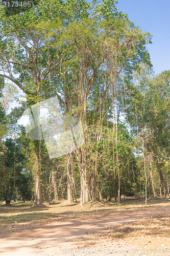 Image of Angkor Archaeological Park