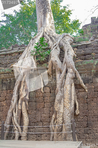 Image of Angkor Archaeological Park