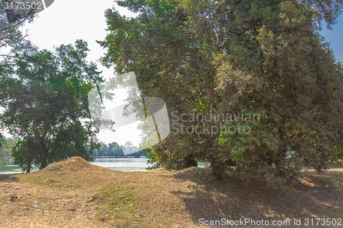 Image of Angkor Archaeological Park
