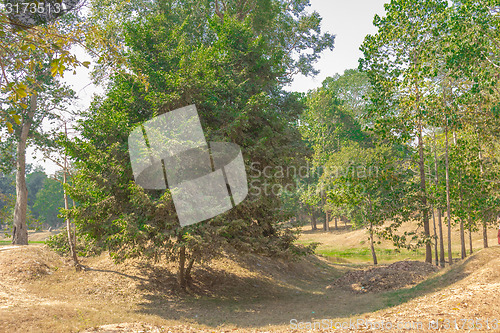 Image of Angkor Archaeological Park