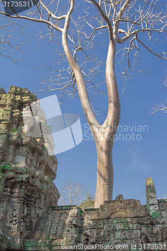 Image of Angkor Archaeological Park