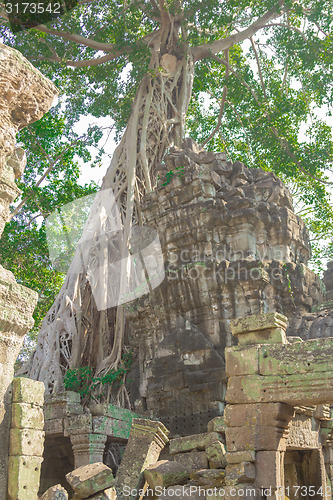 Image of Angkor Archaeological Park