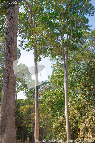Image of Angkor Archaeological Park