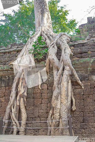 Image of Angkor Archaeological Park