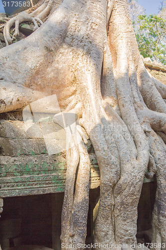 Image of Angkor Archaeological Park