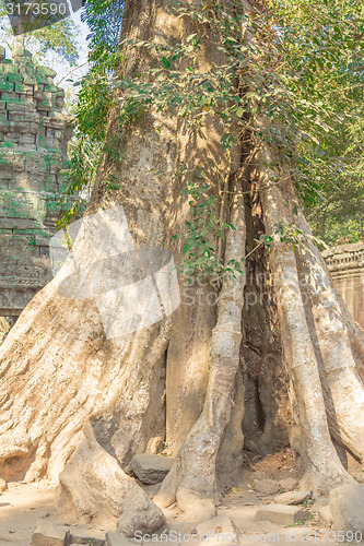 Image of Angkor Archaeological Park