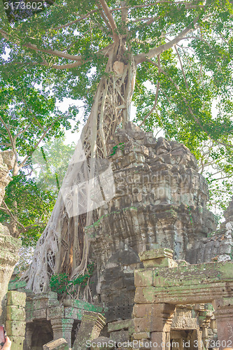 Image of Angkor Archaeological Park