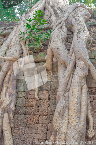 Image of Angkor Archaeological Park