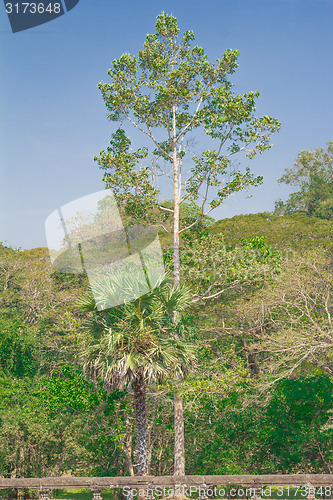 Image of Angkor Archaeological Park
