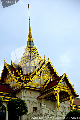 Image of  thailand  in  bangkok  rain   temple abstract tree