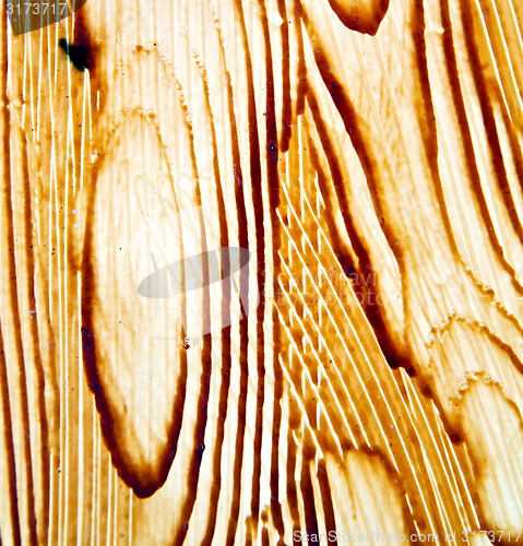 Image of nail dirty stripped paint in the brown wood door and rusty yello