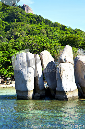 Image of  blue lagoon  stone in thailand kho tao bay  a  water   south ch