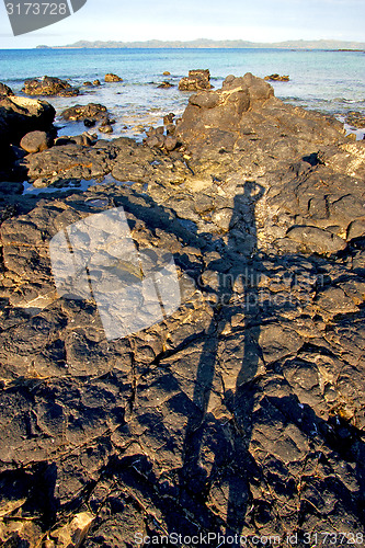 Image of     madagascar     seaweed in   sand isle  sky and  