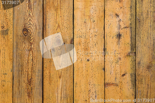 Image of wall from wooden planks. wood texture