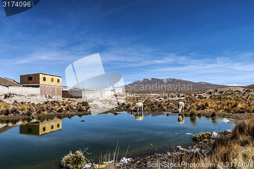 Image of Peruvian highland lake. Arequipa, Peru.