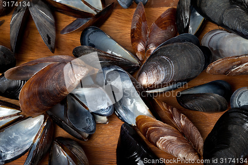 Image of Shells of mussels on kitchen board