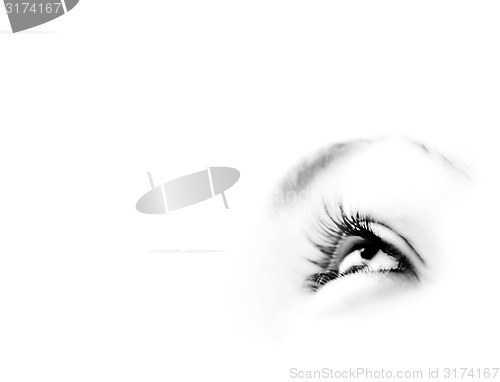 Image of Women\'s eye - looking forward.Isolated on white.