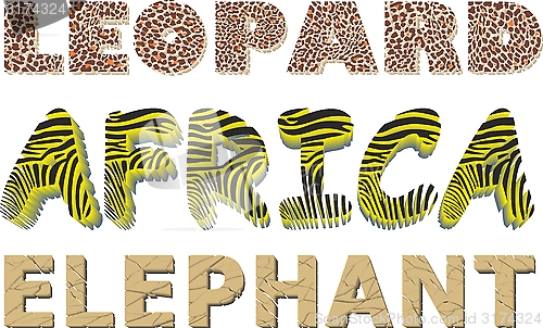 Image of Leopard, Zebra and Elephant texture in the text