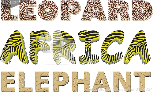 Image of Leopard, Zebra and Elephant texture in the text