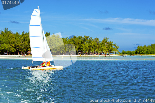 Image of beach ile du cerfs seaweed   indian boat