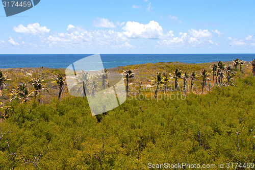 Image of isla contoy   sand   in   foam  the sea drop sunny day   