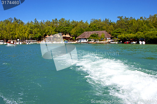 Image of beach ile du cerfs seaweed in  house	 and  