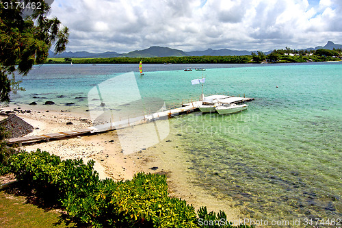 Image of lagoon  beach seaweed in yacht
