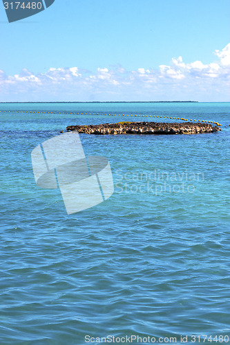 Image of isla contoy   in mexico froath   sunny day  wave