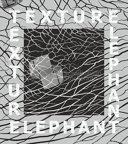 Image of Elephant Skin Black and white Texture