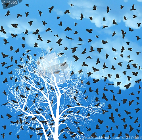 Image of Flock of Crows over white Tree