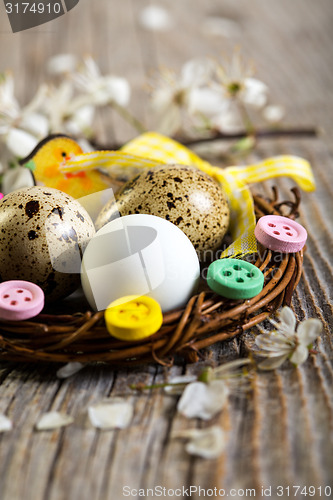 Image of Colorful Easter nest with quail eggs closeup.