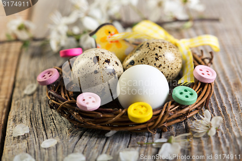Image of Easter nest with quail eggs.